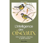L'intelligence Des Oiseaux - Entre Stratégies Collectives & Génie Individuel | Occasion