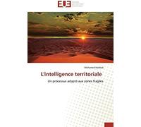 L'intelligence Territoriale