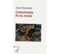 L'interminable fin du monde David Hamidovic (Auteur)
