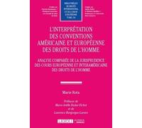 L'interprétation Des Conventions Américaine Et Européenne Des Droits De L'homme - Analyse Comparée De La Jurisprudence Des Cours Européenne Et Interaméricaine Des Droits De L'homme
