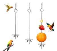 LINTRA 3 Pièces Brochette Oiseau, Acier Inoxydable Brochette de Perroquet, 17,5/22,5/27,5 cm Porte Brochettes de Fruits Oiseaux, Porte Fruits Perroquet, pour Perroquets, Chinchillas, Argent