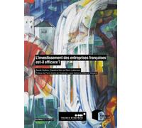 L'investissement des entreprises françaises est-il efficace ? Préface de Pierre-André de Chalendar, Louis Gallois et Gilles de Margerie - Sarah Guillou - Presses Des Mines - broché - Etude