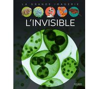 L'invisible - Christine Sagnier - Fleurus - cartonné - Document jeunesse