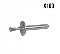 Linxor France ® Lot de 100 Rivets de fixation en inox 4.8 x 25 mm