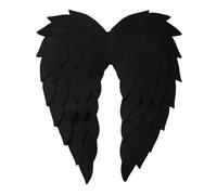 Linyuir Costumes Fête Dhalloween Avec Ailes Danges En Plumes Pour Adultes Et Enfants Noir 55x40cm Taille unique