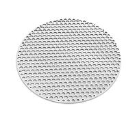 Lioaeust Grille de barbecue ronde en acier inoxydable pour barbecue (F) 28 cm