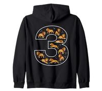 Lion 3e Anniversaire 3 Ans garçon Fille Animal Sweat à Capuche