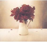 The Lion And The Wolf – Cardiac Hotel – Album vinyle 12"