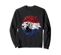 Lion avec Le Drapeau néerlandais Vintage Pays-Bas Hollande Pride Sweatshirt