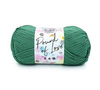 Lion Brand Pound of Love Pelote de laine pour tricot et crochet, loisirs créatifs, fougère