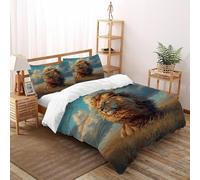 Lion Ciel_1 3D Imprimé Respirable Set Couette 3 Pièces Microfibre pour 2 Oreillers Zipper Closure Super King（260x220cm） pour Adultes, Femmes Et Enfants