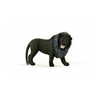 Lion noir, rugissant