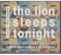 LION SLEEPS TONIGHT
