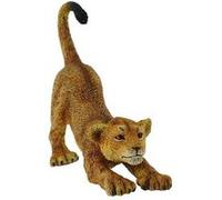 Lionceau Figurines Collecta G