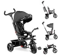 LIONELO Haari Tricycle bébé évolutif jusqu'à 25 kg, vélo de Marche vélo pour Les Enfants Plus âgés, siège réversible, Grand Panier Sac, Porte-gobelet, Roue Libre