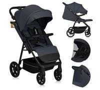 LIONELO IVA Poussette Canne Jusqu'à 22 kg de 6 m à 4 ans Roues Pivotantes à 360° Amortissement Total des Chocs Dossier et Auvent Réglables en Hauteur XXL UPF50+ Tissu de Qualité Supérieure (Grey)