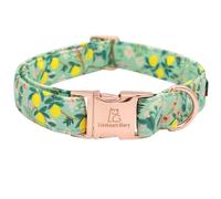 Lionheart glory Collier pour chien à motif floral de qualité supérieure - Collier pour chien mignon - Collier à ressort réglable - Doux - Collier pour chien de grande taille - Cadeau pour chiot