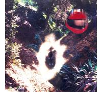 Lionmilk – Intergalactic Warp Terminal 222 – Vinyle (2 LP)