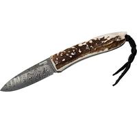 Lionsteel Opera Damas Heinsgringla Manche en bois de cerf, boîte en bois 8800D CE