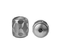 Lionsteel Perle en Titane avec Vis, pour lanière de 5/32, GRIS TiP GY