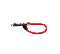 lionto Collier pour Chien avec arrêt de Traction, 55 cm x 1 cm, Rouge | Nylon résistant, boucle robuste, réglage continu et anneau en D pour fixer la laisse pendant les promenades