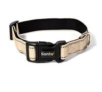 lionto Collier pour Chien rembourré en Nylon réfléchissant imperméable réglable, Taille M, Beige
