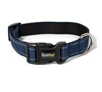 lionto Collier pour Chien en Nylon résistant, Taille S, Collier Doux et rembourré, réfléchissant à 360°, avec Fermeture à Clip, Anneau métallique et réglage continu, Bleu
