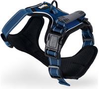 lionto Hundegeschirr gepolstert und reflektierend, Größe M, blau