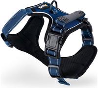 lionto Hundegeschirr gepolstert und reflektierend, Größe XL, blau