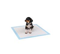 lionto Tapis d'entraînement pour Chiens à 6 Couches avec Bandes adhésives, 100 pièce 60x60 cm, imperméables grâce à Une Grande capacité d'absorption pour Animaux Malades et incontinents, Bleu/Blanc