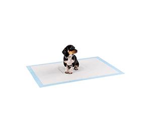 lionto Tapis d'entraînement pour Chiens à 6 Couches avec Bandes adhésives, 100 pièce 60x90 cm, imperméables grâce à Une Grande capacité d'absorption pour Animaux Malades et incontinents, Bleu/Blanc
