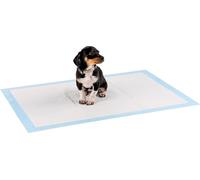 lionto Tapis d'entraînement pour Chiens à 6 Couches avec Bandes adhésives, 50 pièce 60x90 cm, imperméables grâce à Une Grande capacité d'absorption pour Animaux Malades et incontinents, Bleu/Blanc