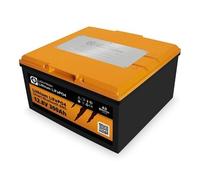 Liontron Lithium LiFePO4 LX - Arctic Smart BMS Batterie Sous-Siège 12,8V 300Ah