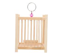 LIOOBO Cage pour Sauterelles Cage Portable Artisanale à Suspendre pour Observation des Insectes Idéale pour Éveiller La Curiosité