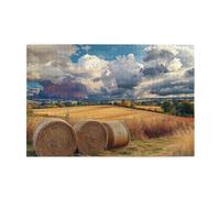 Liorosa Puzzle de 1000 pièces pour adultes - Beau tas de paille pastorale rurale - Plaisir à la fois du corps et de l'esprit, oubliez les problèmes de la vie, cadeaux pour les amis et la famille