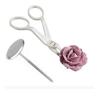Lipfer 2pcs Pipefing Ciseaux De Fleurs Nail Sécurité De Rose Décor De Rose Fondant Cake Decorating Tray Cream Transfer Baking Pâke Outils