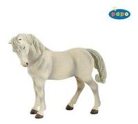 Lipizzaner Mare G