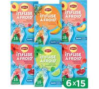 Lipton - Lot de 6 infusions à froid