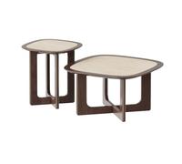 LiQENT-149 Petite Table d'appoint Ensemble de Tables Basses 2 pièces, Tables de Salon Modernes de Forme irrégulière, Paire coordonnée
