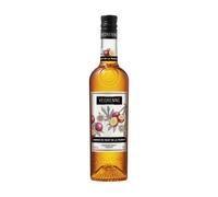 LIQUEUR DE FRUIT DE LA PASSION 18% - 70 cl