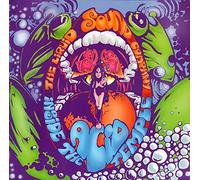 Liquid Sound Company - Inside The Acid Temple [Import]