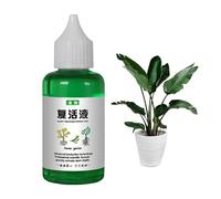 Liquide De Résurrection Pour Plan-tes | Concentré Liquide Fertilisant 50 Ml | Engrais Pour Légumes, Fruits Et Fleurs | Engrais Liquide Plant Resurrection - Engrais Liquide Pour Une Croissance Saine
