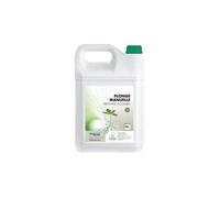Liquide vaisselle et détergent multiusage neutre universel parfum menthe 5L - Brioxol
