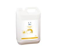 Liquide vaisselle pour plonge manuelle citron bidon de 5 L TECHLINE ORIGIN 391012