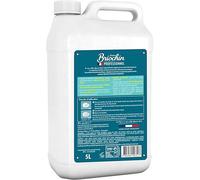 Liquide Vaisselle Professionnel Briochin Bidon de 5 L