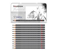 Liquidraw Lot de 12 crayons à dessin gradués pour artistes, croquis, art, croquis (8B-2H) graphite dur et doux