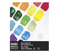 Liquitex Bloc Papier Acrylique 300G 12 Feuilles 41X51 cm