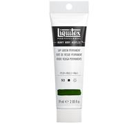 Liquitex Professional Acrylique Heavy Body 59 ml Vert de vessie Série 2