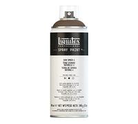 Liquitex Professional Peinture acrylique Aérosol 400 ml Terre d'ombre naturelle 6