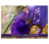 L'iris - une beauté de jardin mondaine, Version française (Calendrier mural 2026 DIN A3 portrait), Calendrier CALVENDO mensuel